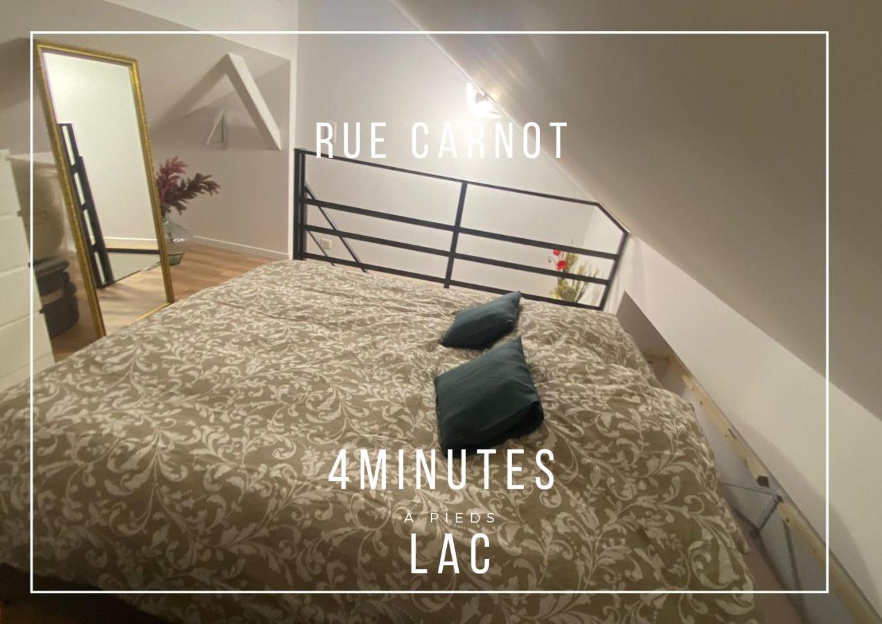 شقة Rainbow, Rue Carnot آنسي المظهر الخارجي الصورة